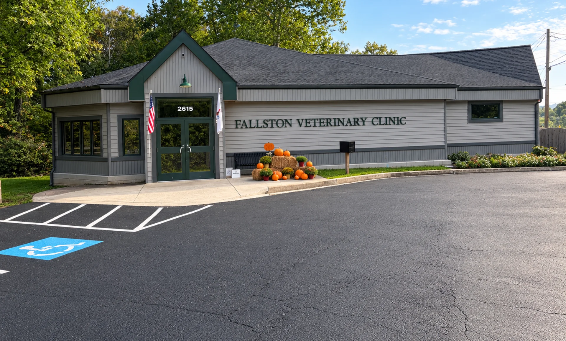 Get started With Your Pet’s Care